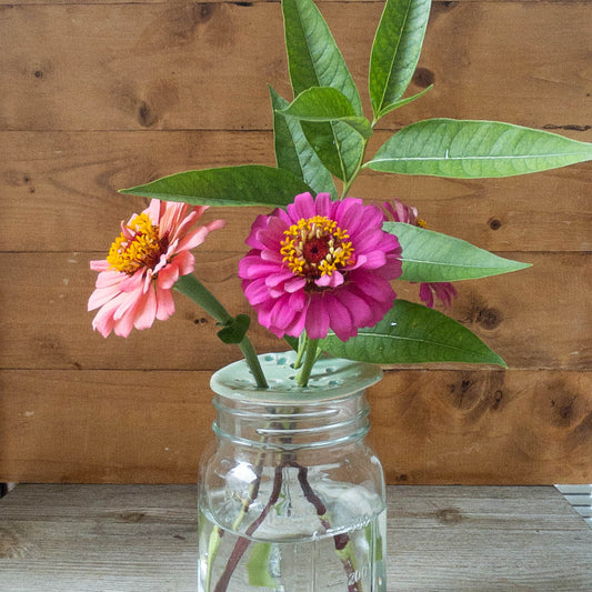 Flower Frog - Taylor