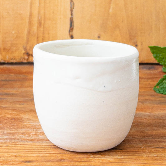 Tabby Cat Shot Glass 1 - Taylor