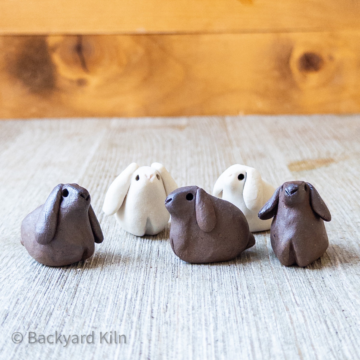 Mini Lop Bunnies, Assorted by Taylor