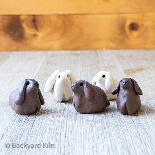 Mini Lop Bunnies, Assorted by Taylor