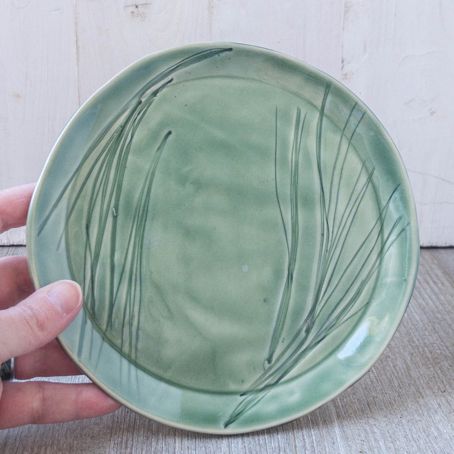 7” Plate - Taylor