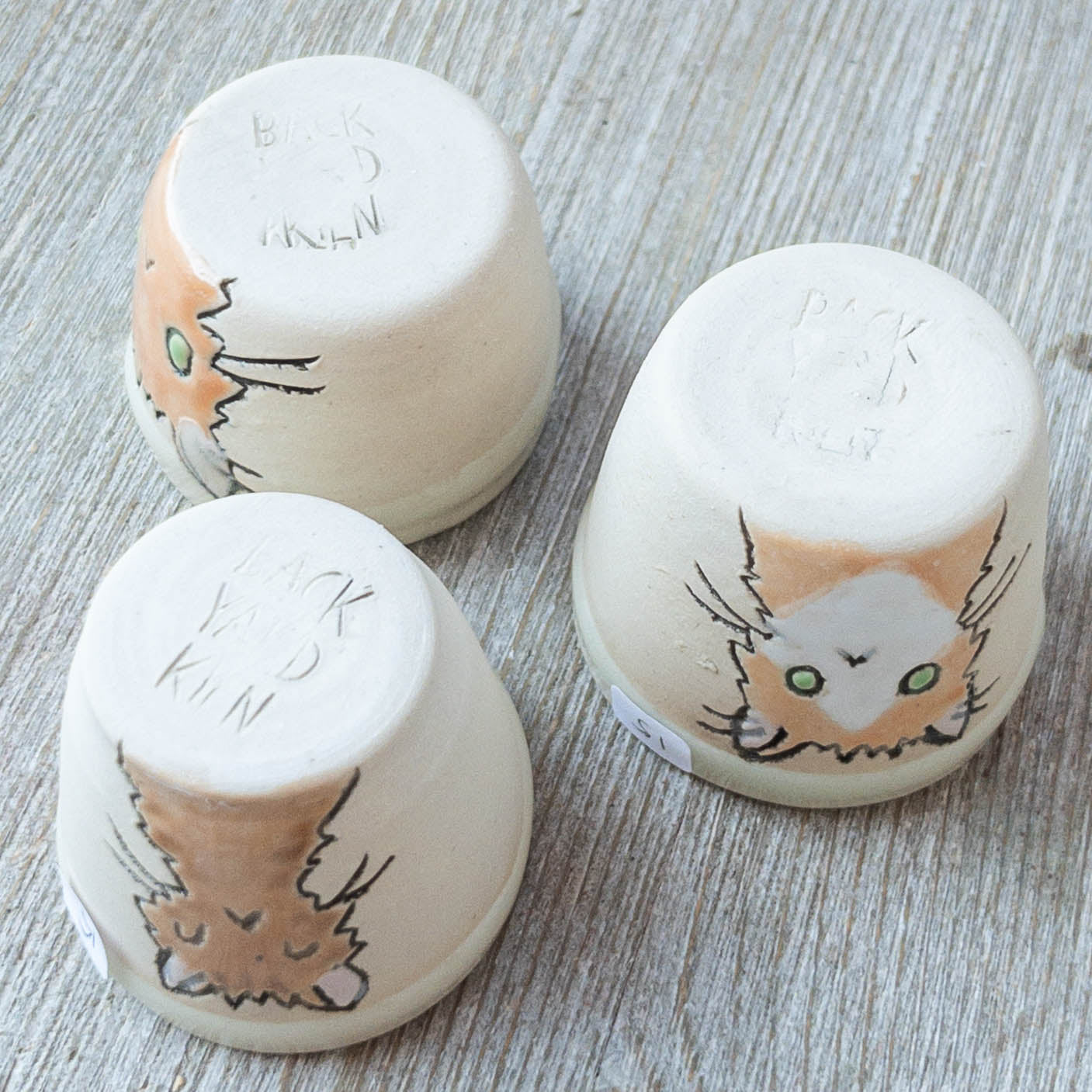 Cat Shot Glasses - Taylor