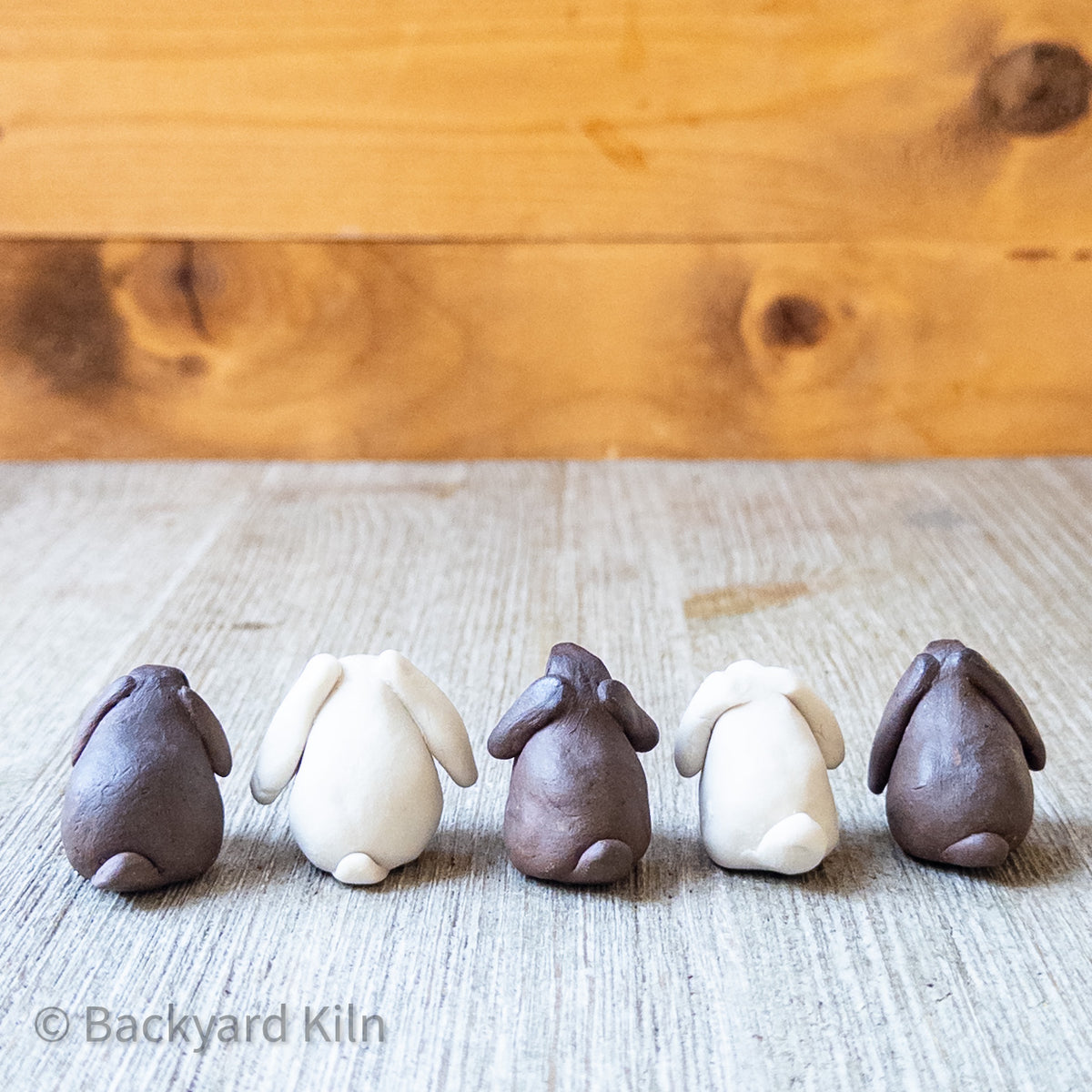 Mini Lop Bunnies, Assorted by Taylor