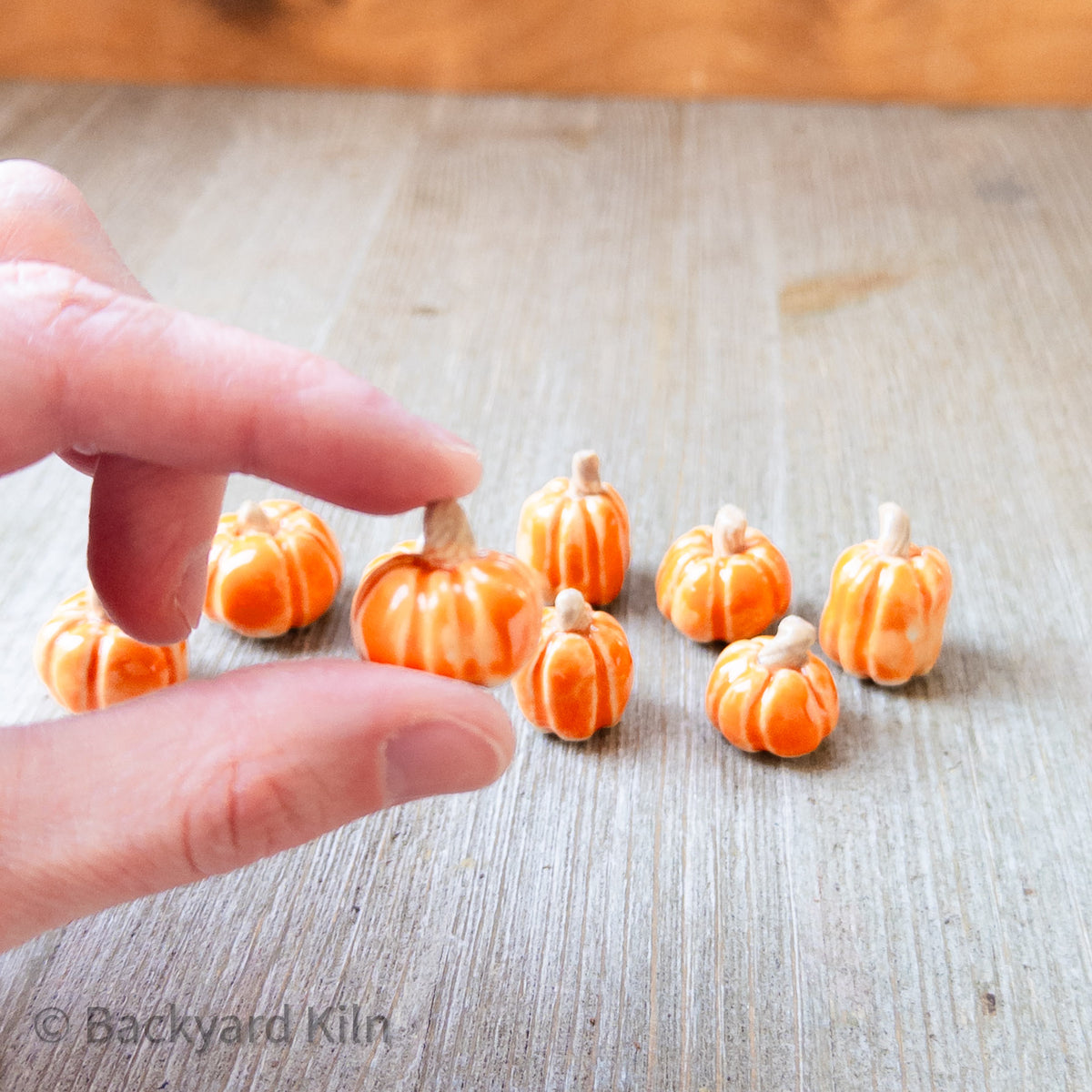 Tiny Pumpkins Assorted (Orange) by Taylor