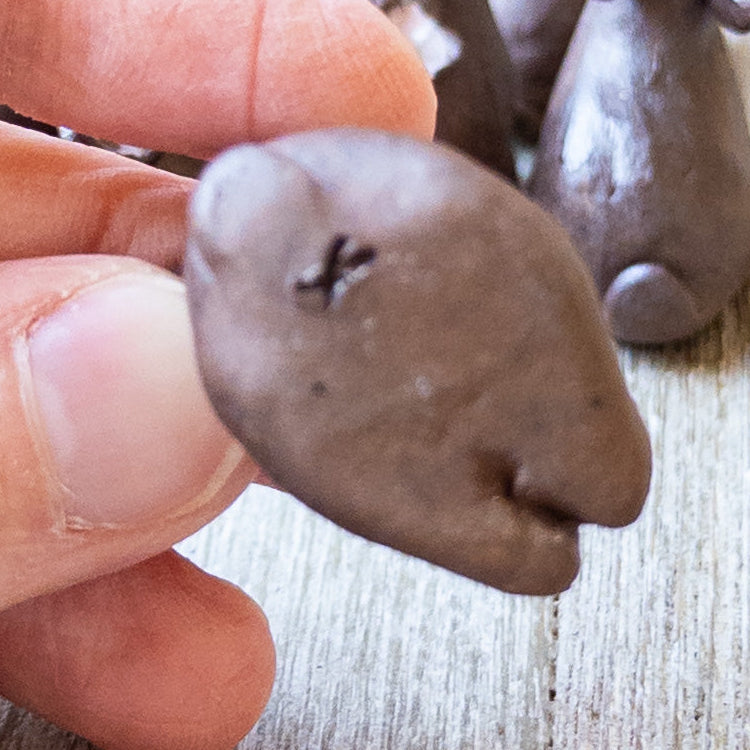 Brown Mini Bunnies, Assorted by Taylor