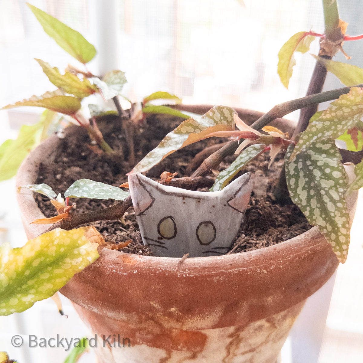 Cat Peeking Stakes by Taylor