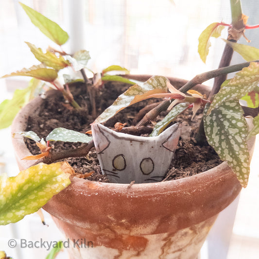 Cat Peeking Stakes by Taylor