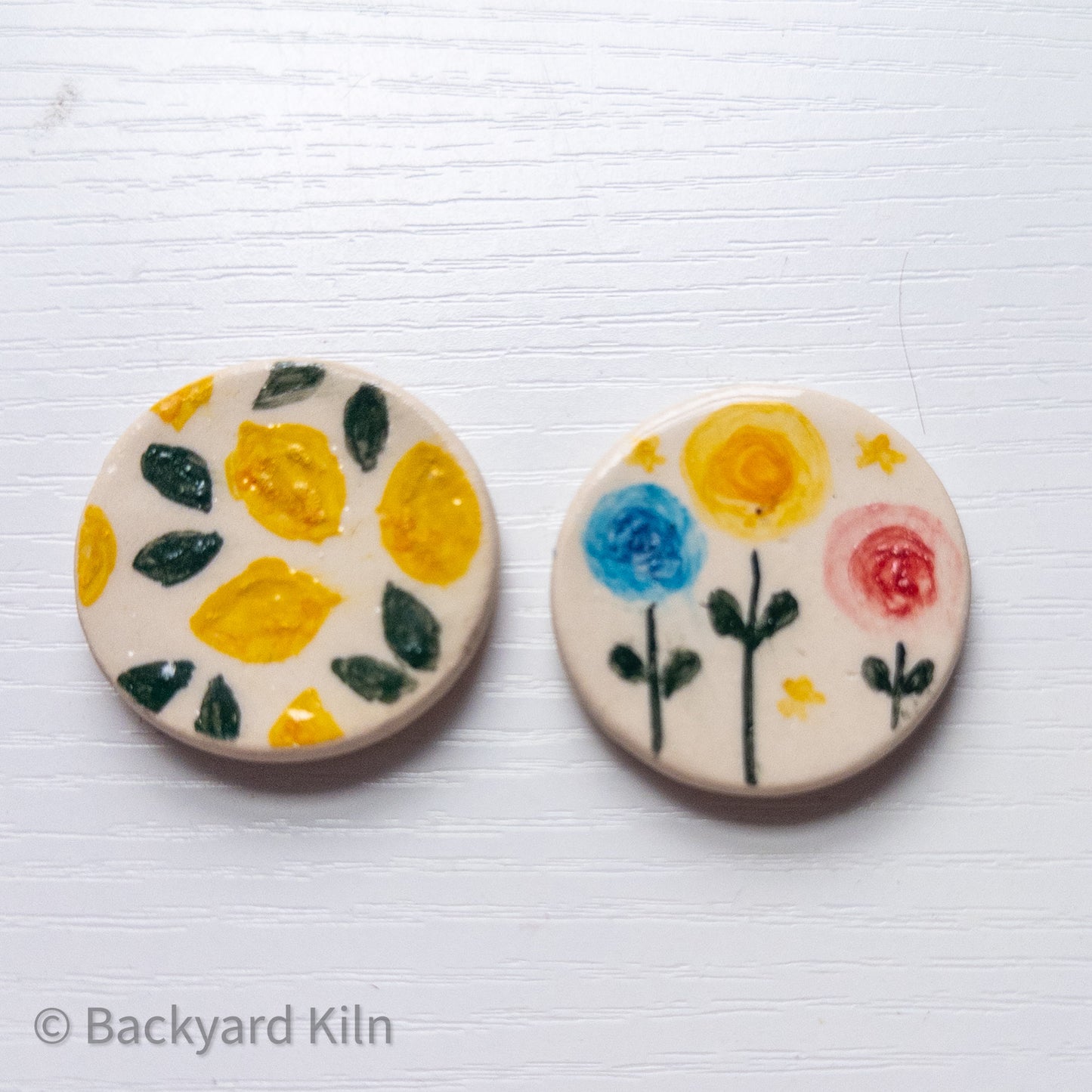 Flowers and Fruits Magnets by Taylor
