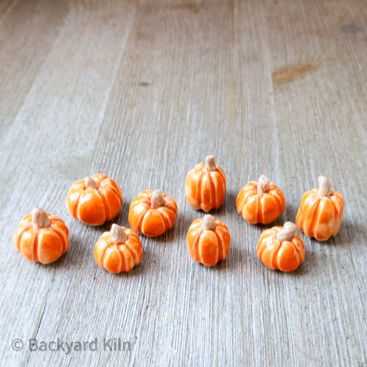 Tiny Pumpkins Assorted (Orange) by Taylor