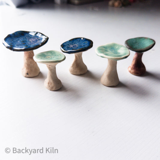 Mini Mushrooms - Taylor