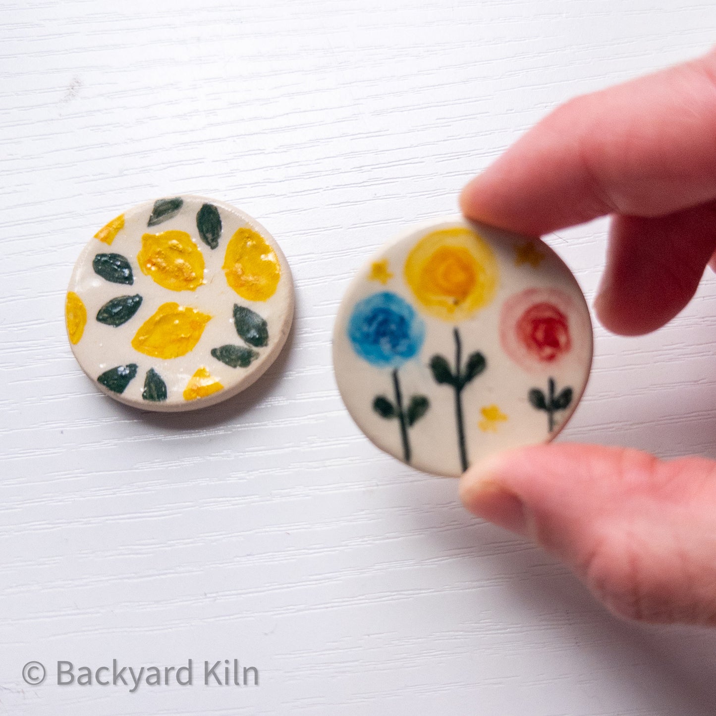 Flowers and Fruits Magnets by Taylor