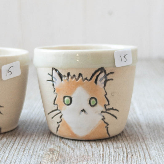 Cat Shot Glasses - Taylor