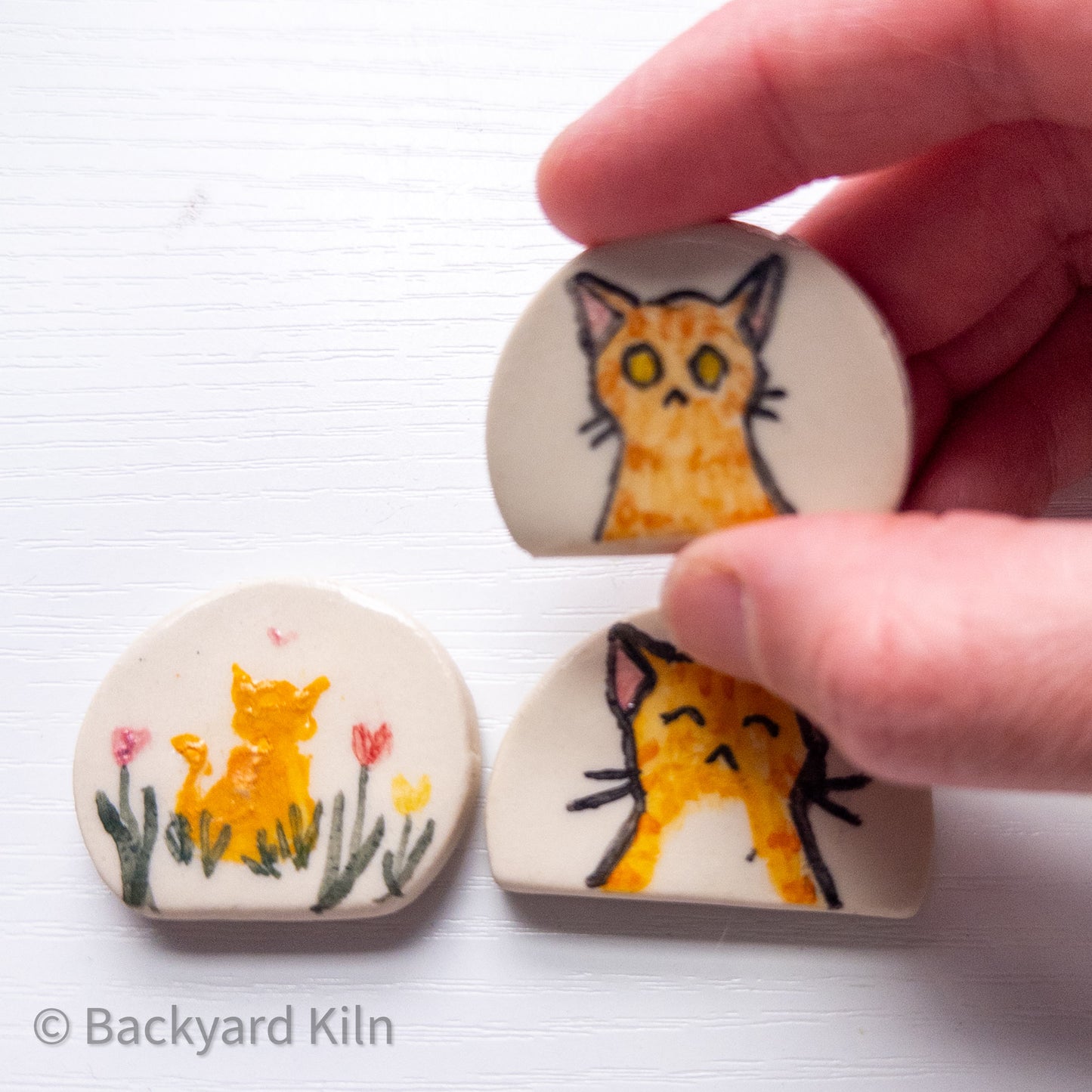 Orange Cat Magnets by Taylor