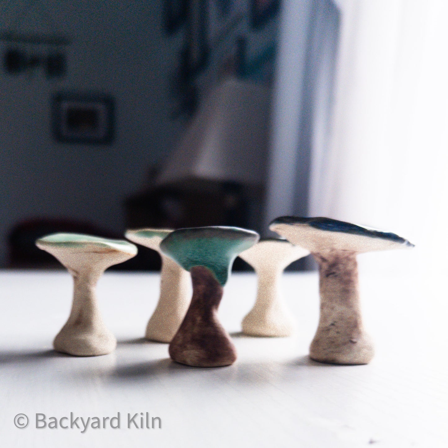 Mini Mushrooms - Taylor