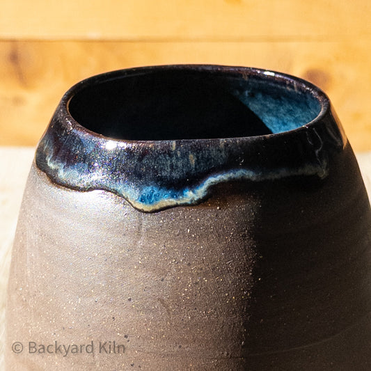 Fundraiser Cat Vase: Lita 2 by Taylor