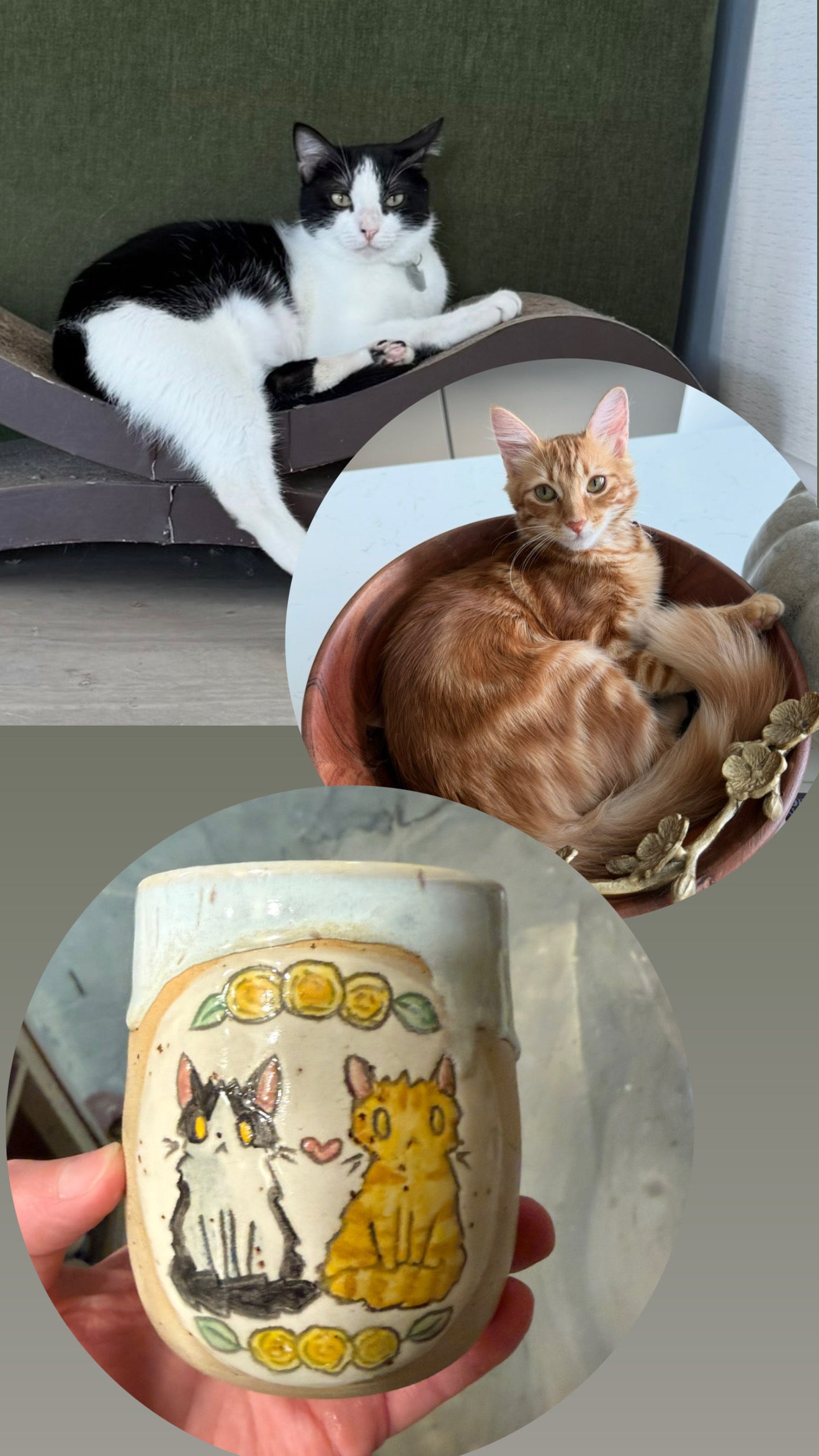 Custom Cat Tumbler #50 - by Taylor