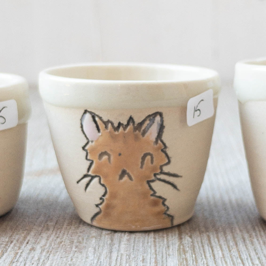 Cat Shot Glasses - Taylor