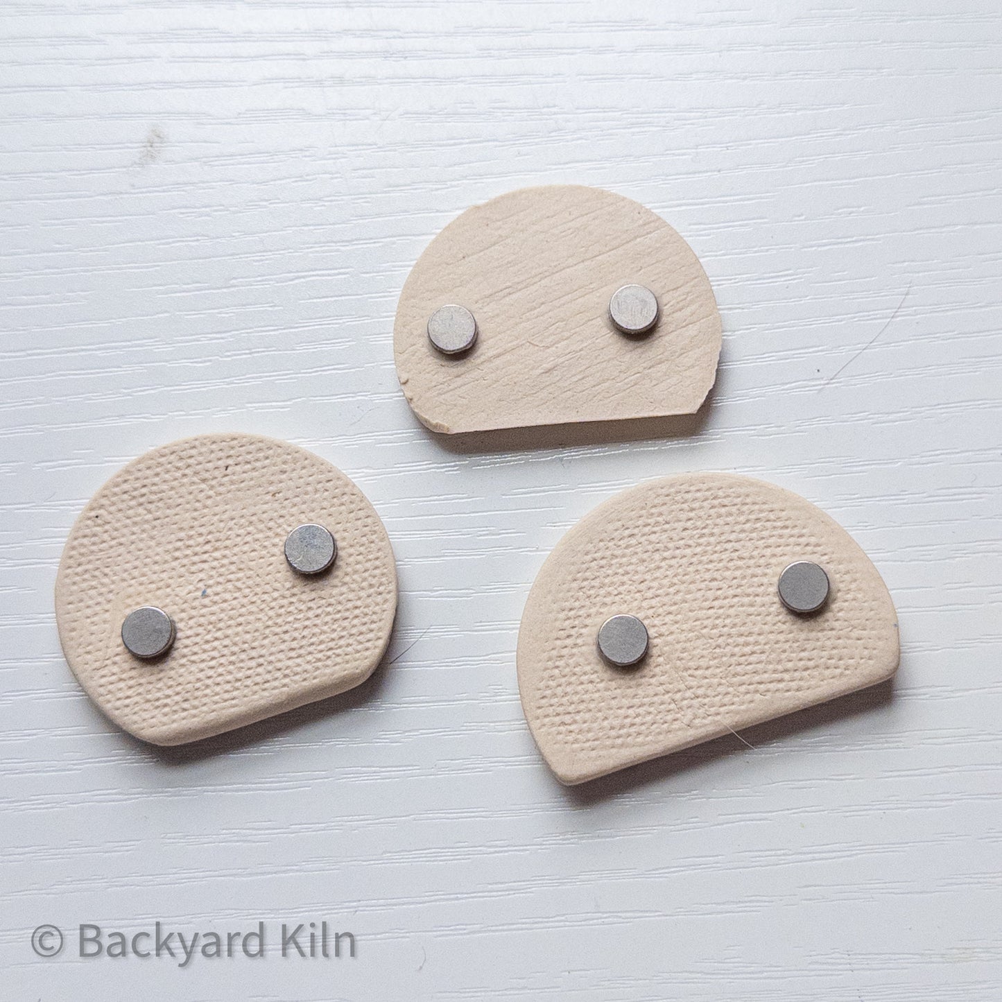Orange Cat Magnets by Taylor