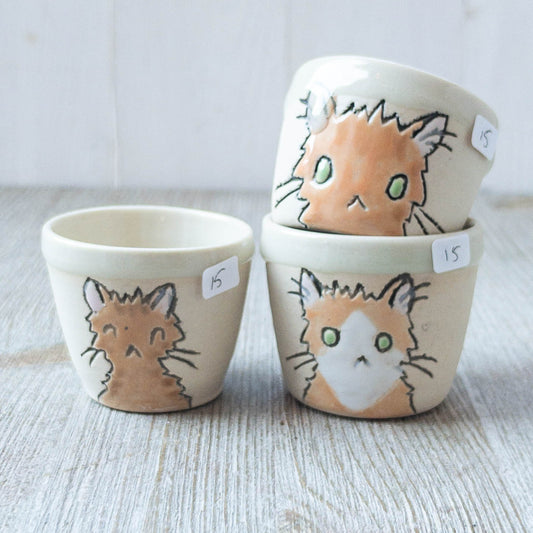 Cat Shot Glasses - Taylor