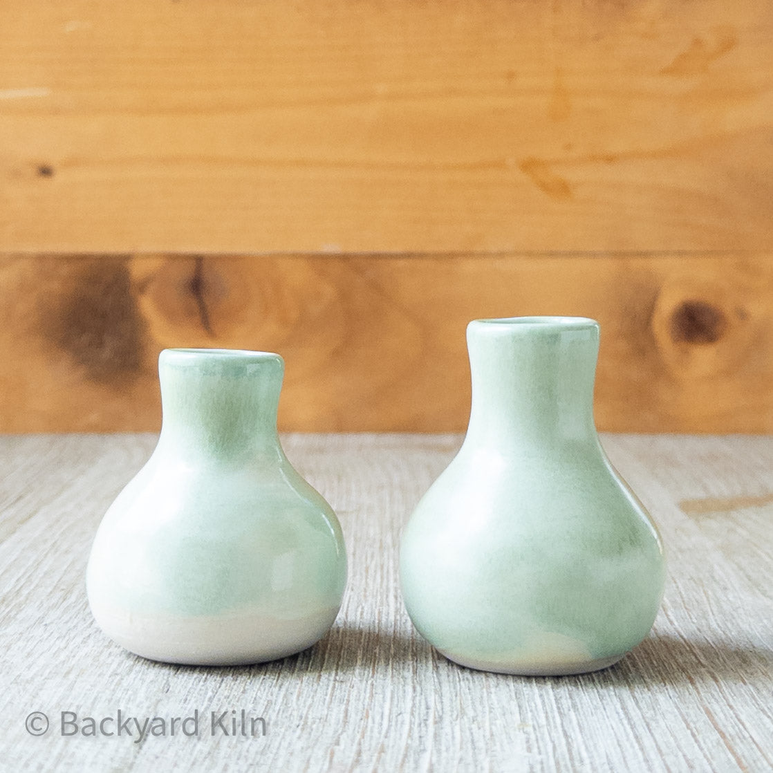 Mini Cat Whiskers Vases by Taylor
