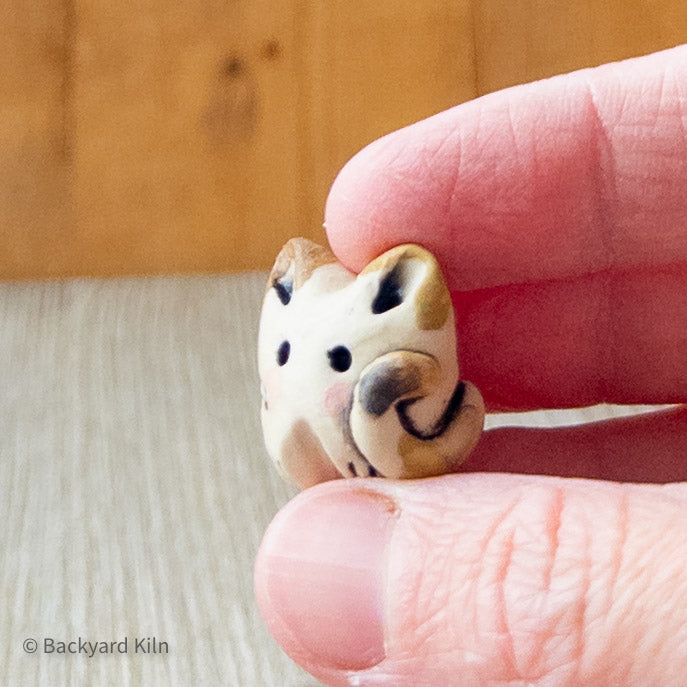 Calico Mini Cat by Hannah and Taylor