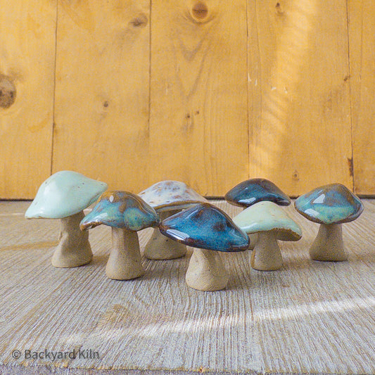 Mini Mushrooms Assorted - Taylor