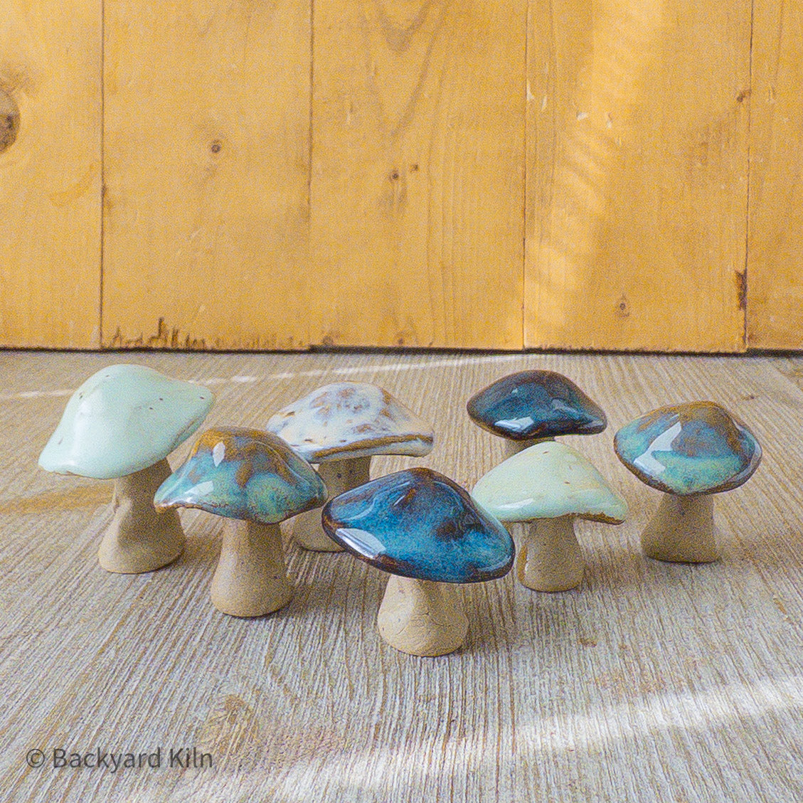 Mini Mushrooms Assorted - Taylor