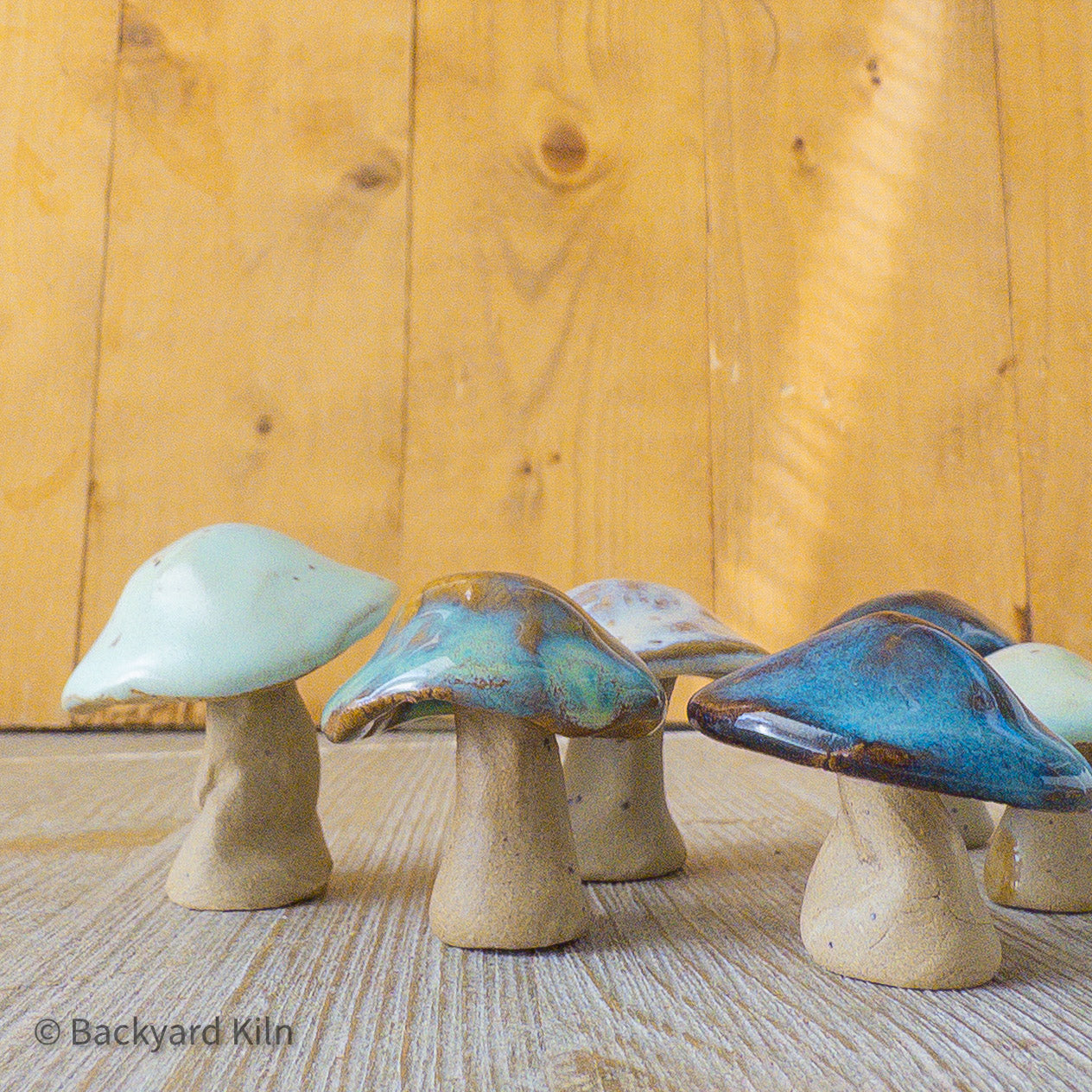 Mini Mushrooms Assorted - Taylor