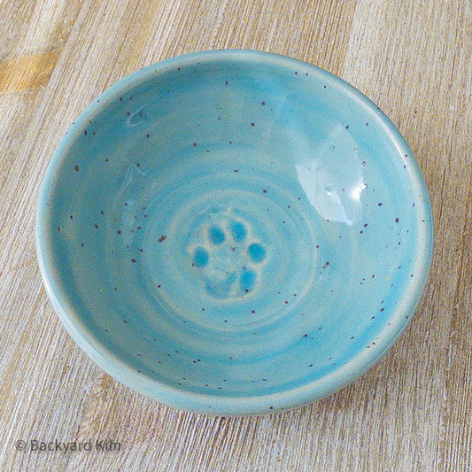 Fundraiser Cat Dishes: Blue and Yellow - Taylor