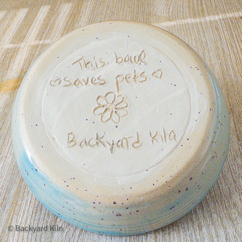 Fundraiser Cat Dishes: Blue and Yellow - Taylor