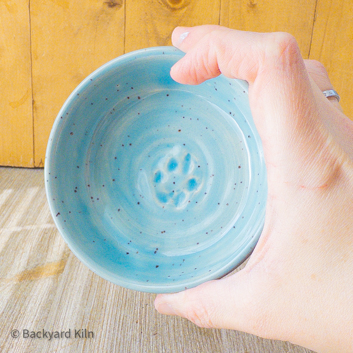Fundraiser Cat Dishes: Blue and Yellow - Taylor
