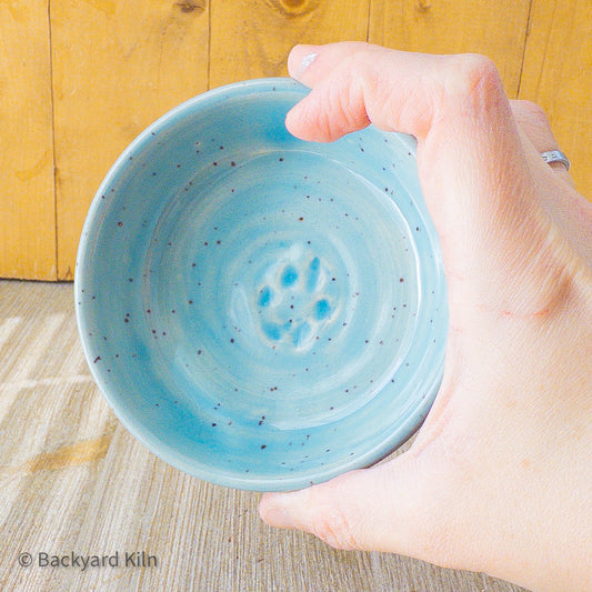 Fundraiser Cat Dishes: Blue and Yellow - Taylor