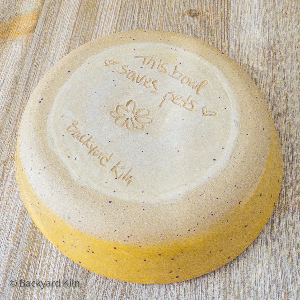 Fundraiser Cat Dishes: Blue and Yellow - Taylor