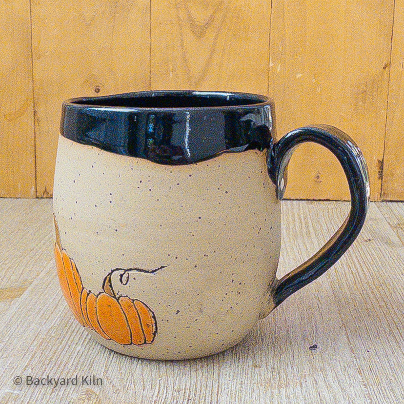 Fundraiser Cat Mug: Quartz - Taylor