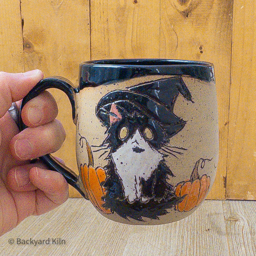 Fundraiser Cat Mug: Quartz - Taylor