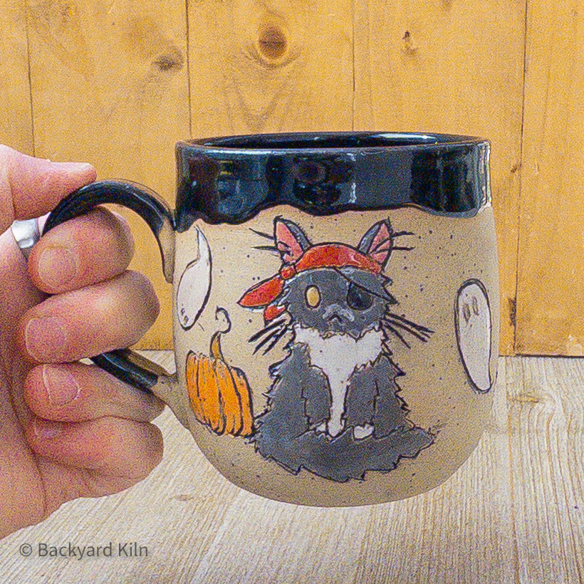Fundraiser Cat Mug: Kaolin - Taylor