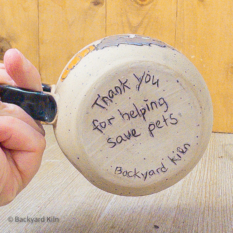 Fundraiser Cat Mug: Kaolin - Taylor