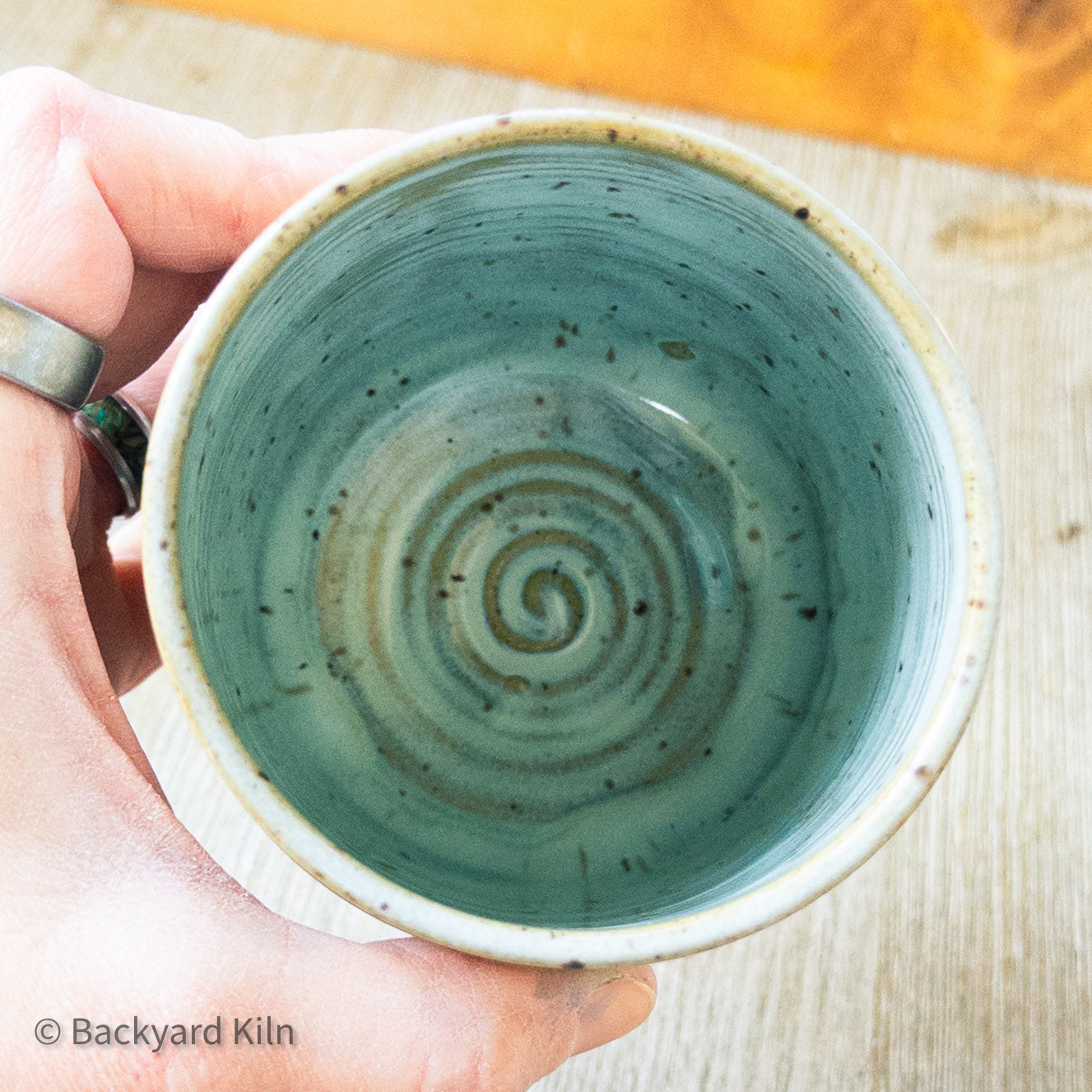 Fundraiser Kitten Cup: Pigeon by Taylor