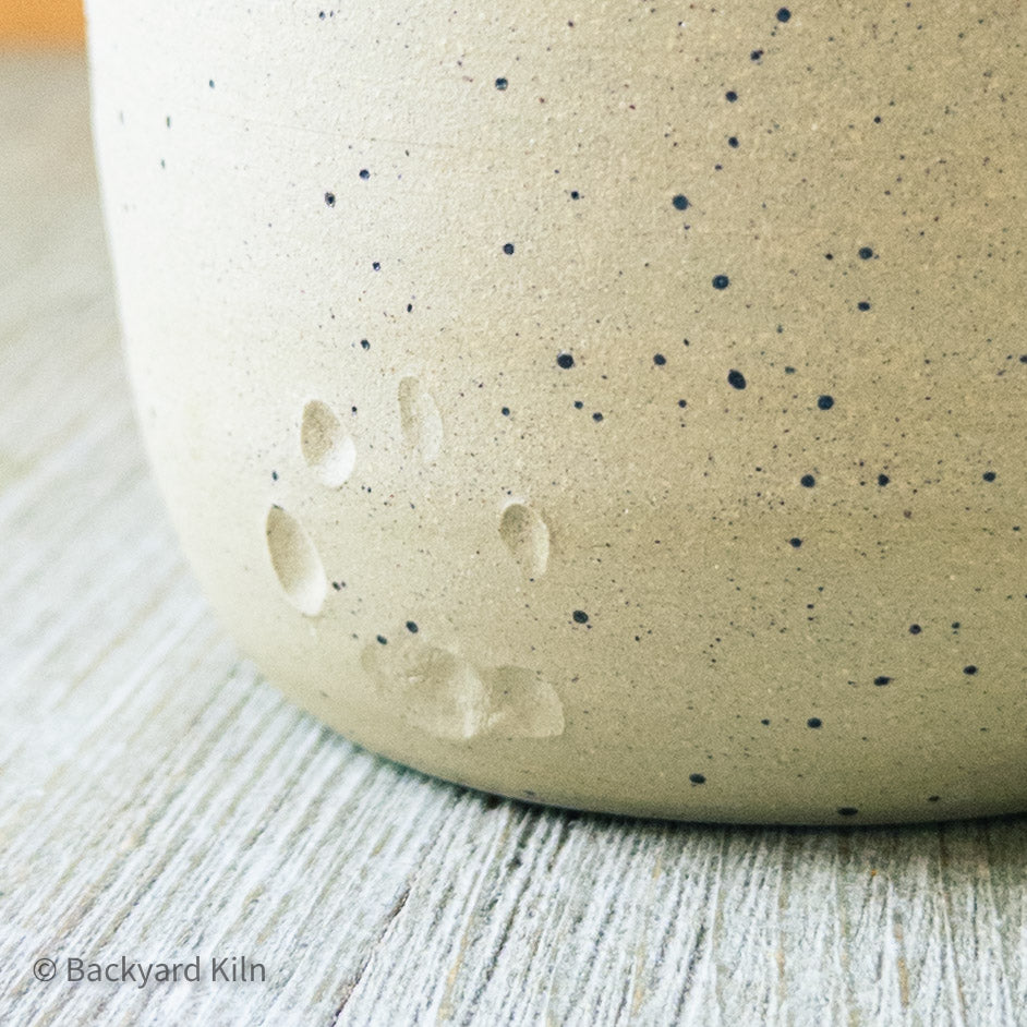 Fundraiser Kitten Cup: Plover by Taylor