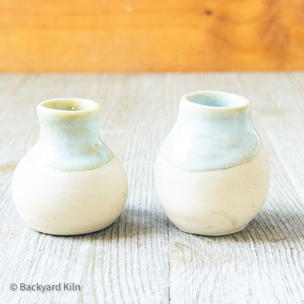 Mini Cat Whiskers Vases by Taylor