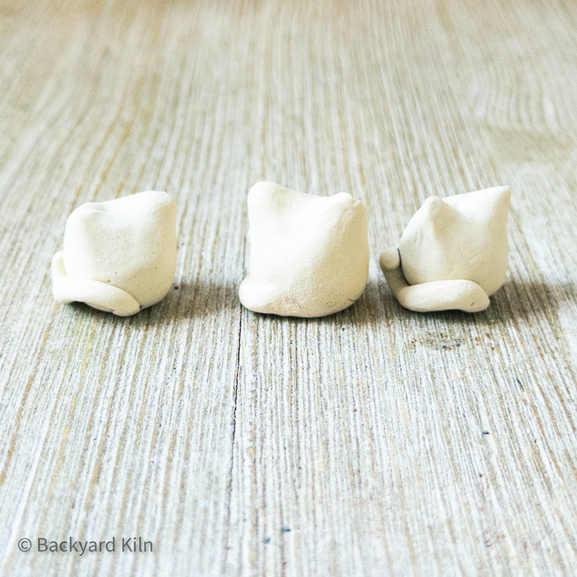 White Mini Cats Assorted by Taylor