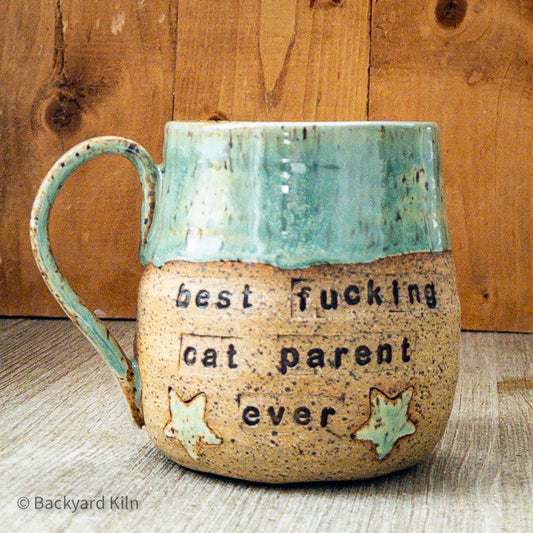 "Best Fucking Cat Parent Ever" Mug by Taylor