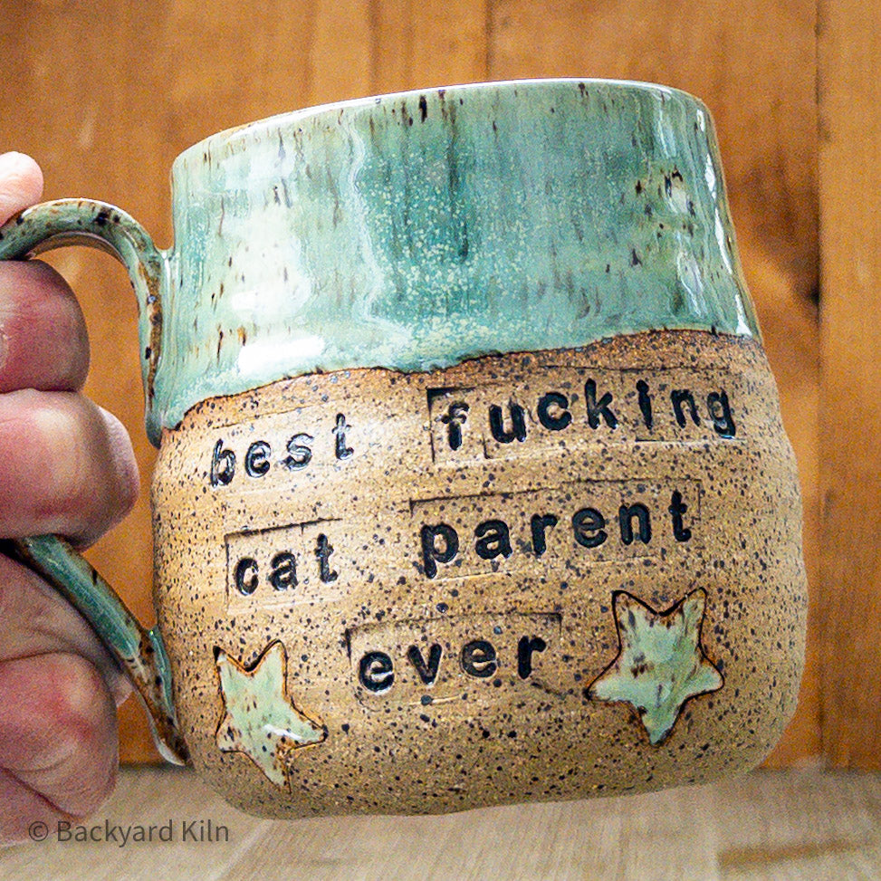 "Best Fucking Cat Parent Ever" Mug by Taylor