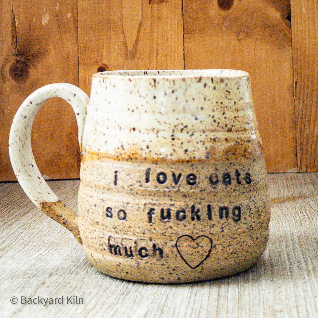 "I Love Cats So Fucking Much" Mug by Taylor