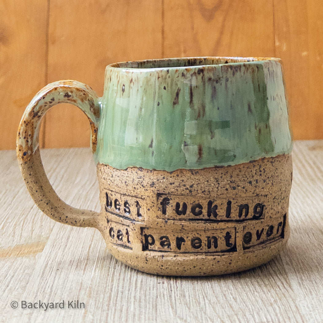 "Best Fucking Cat Parent Ever" Mug by Taylor