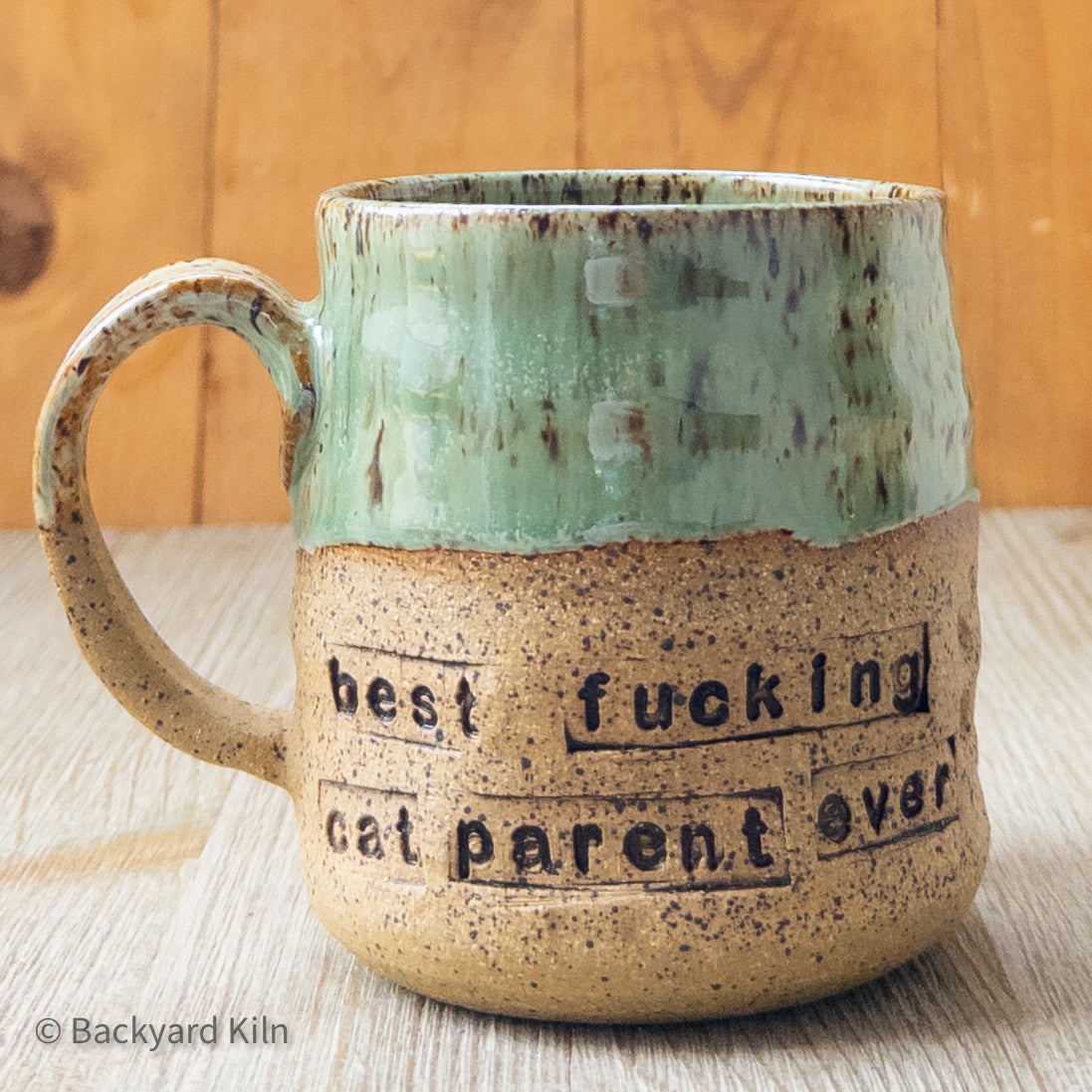 "Best Fucking Cat Parent Ever" Mug by Taylor