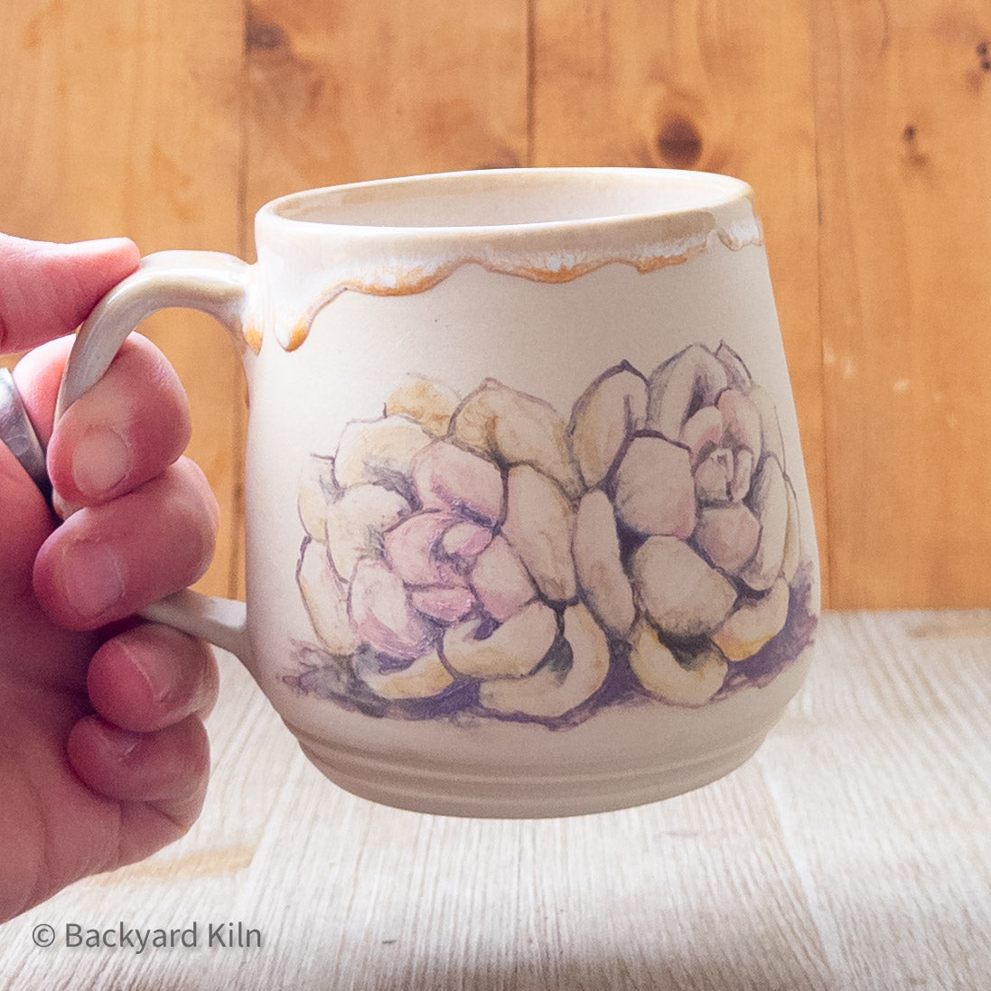 Succulent Mug by Hannah and Taylor
