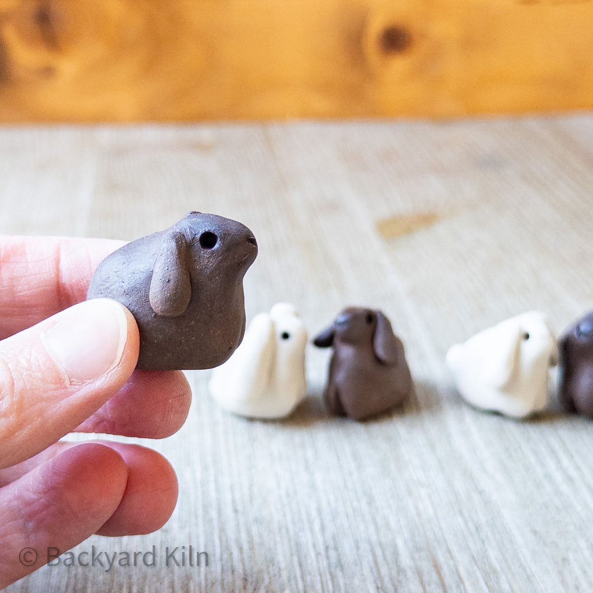 Mini Lop Bunnies, Assorted by Taylor