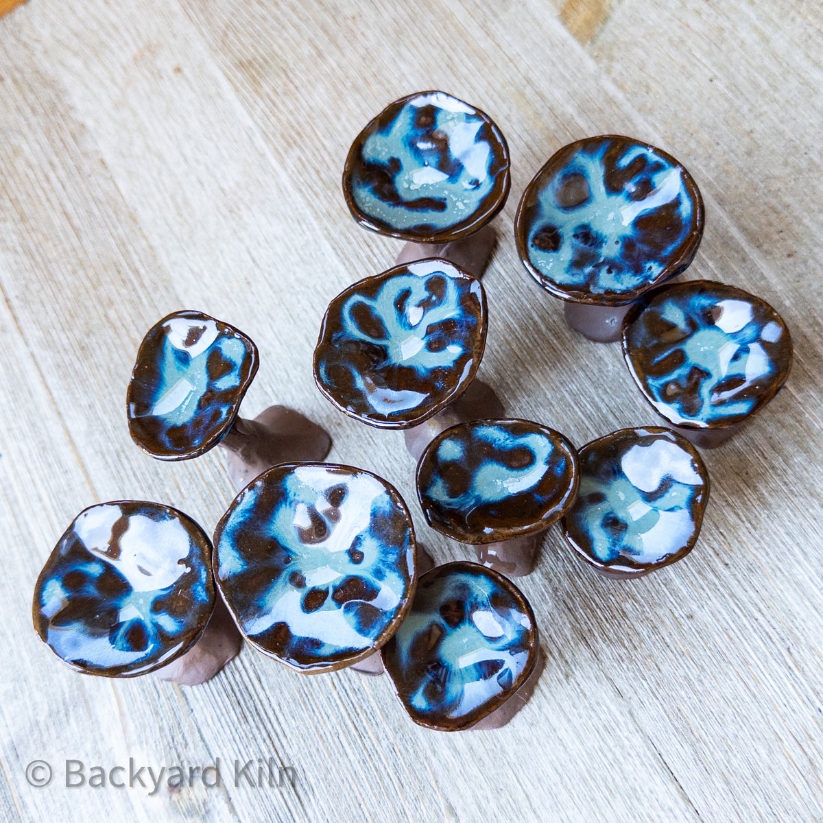 Mini Mushrooms Assorted, Brown/Blue by Taylor