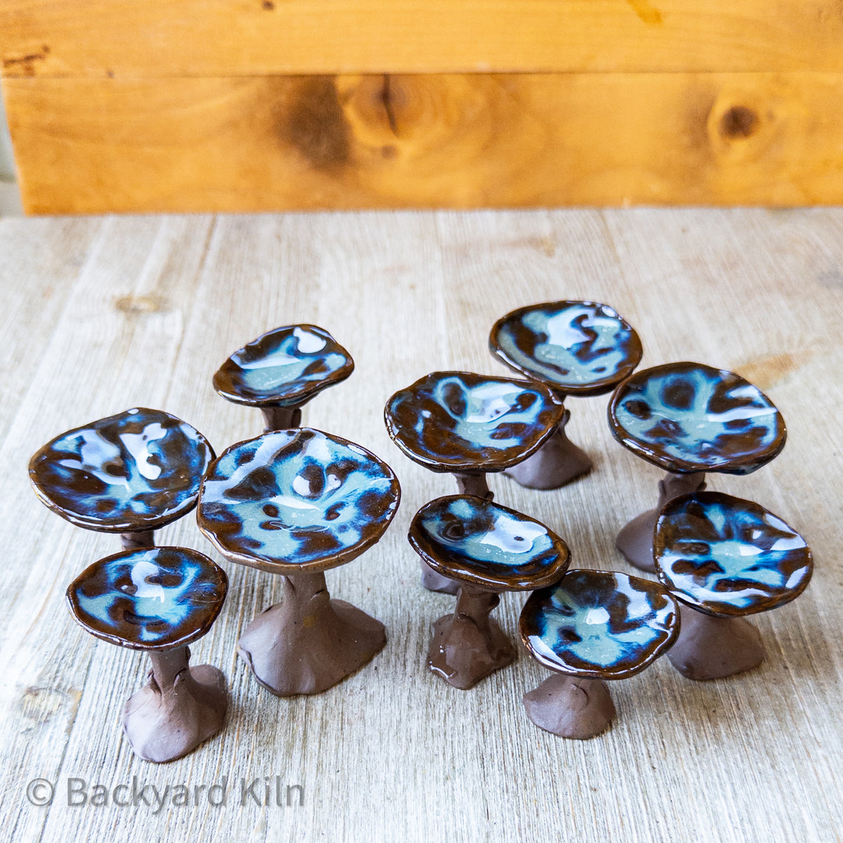 Mini Mushrooms Assorted, Brown/Blue by Taylor